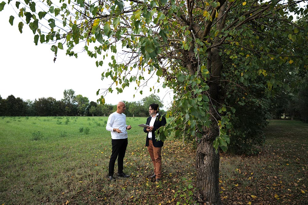 Il custode degli alberi secolari