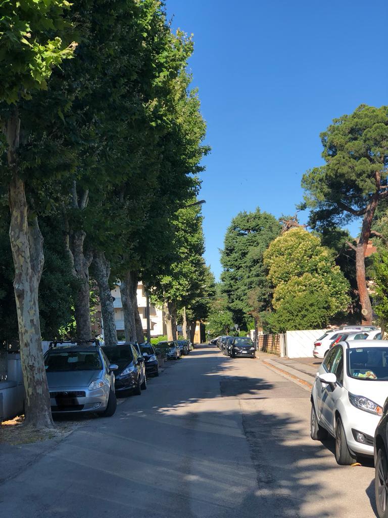 Notiziario da sfogliare