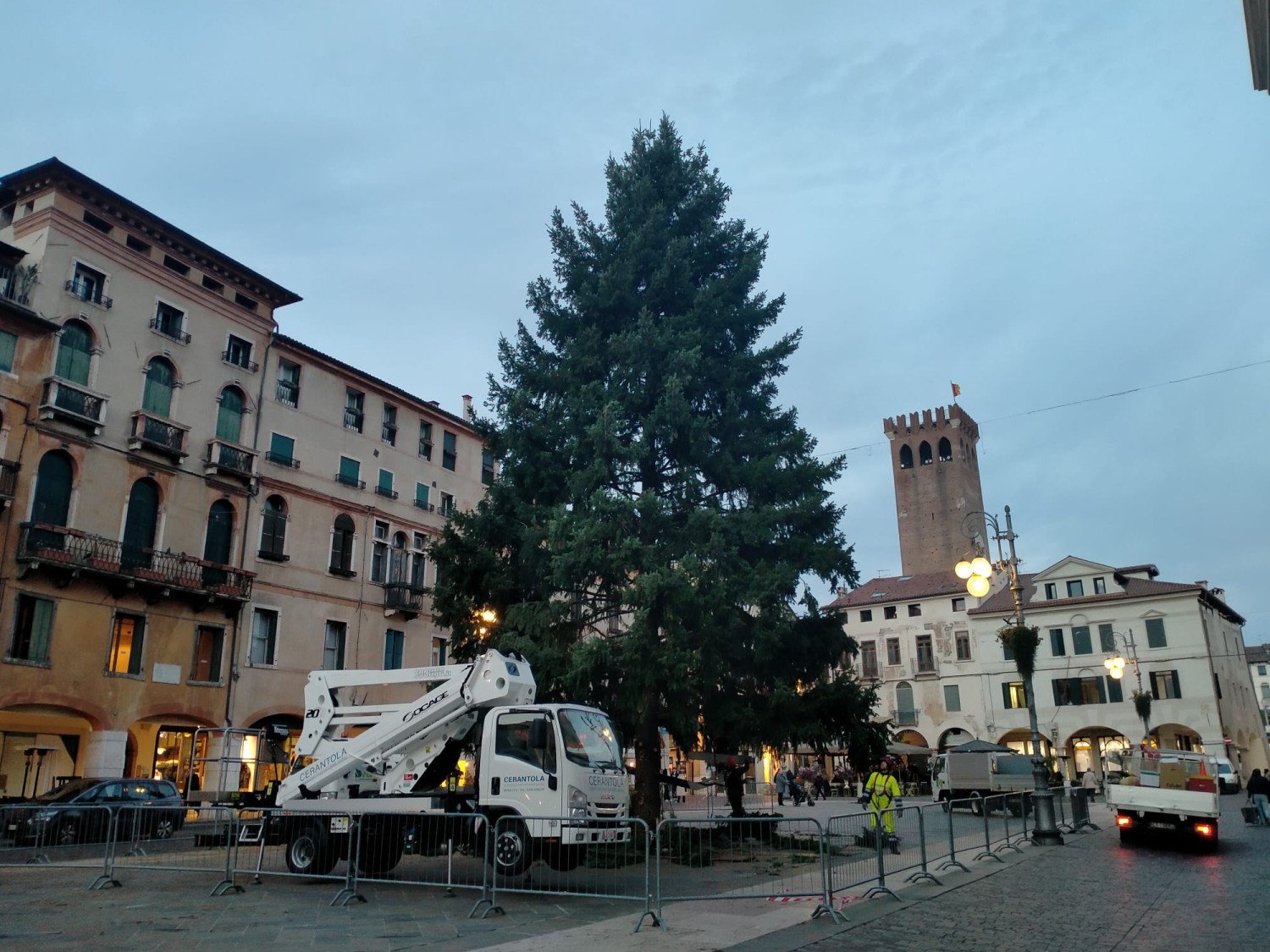 Abete per Tutti