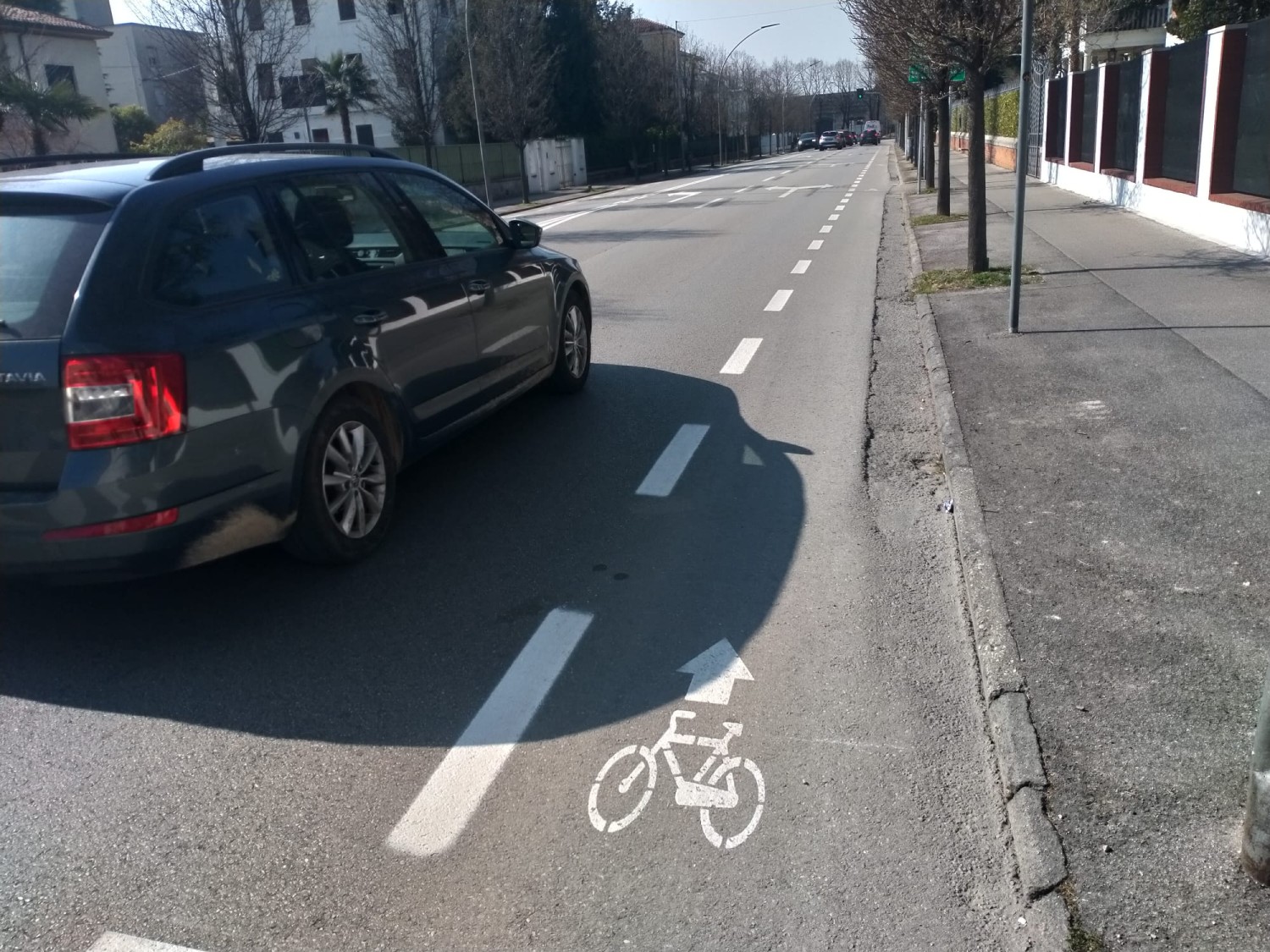 Corsia ciclabile in viale Venezia direzione ovest