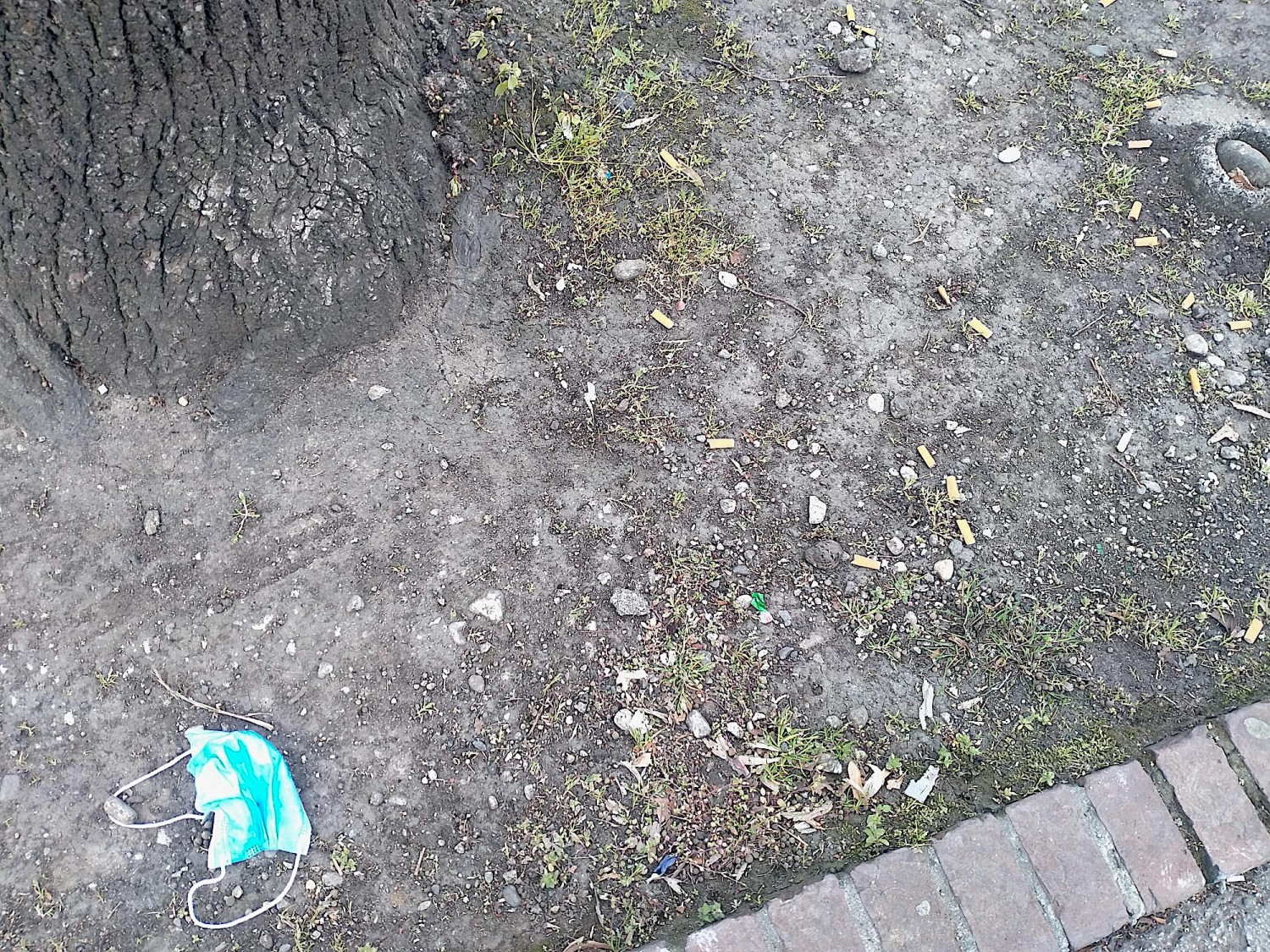 Viale delle Fosse