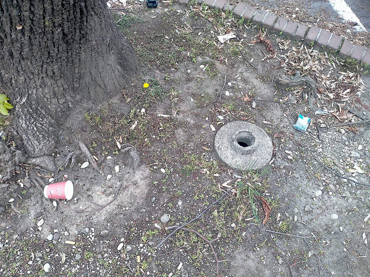 Viale delle Fosse