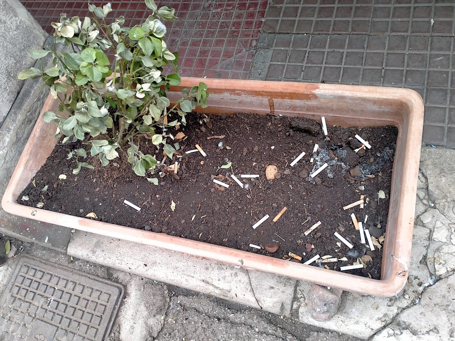 Via Portici Lunghi