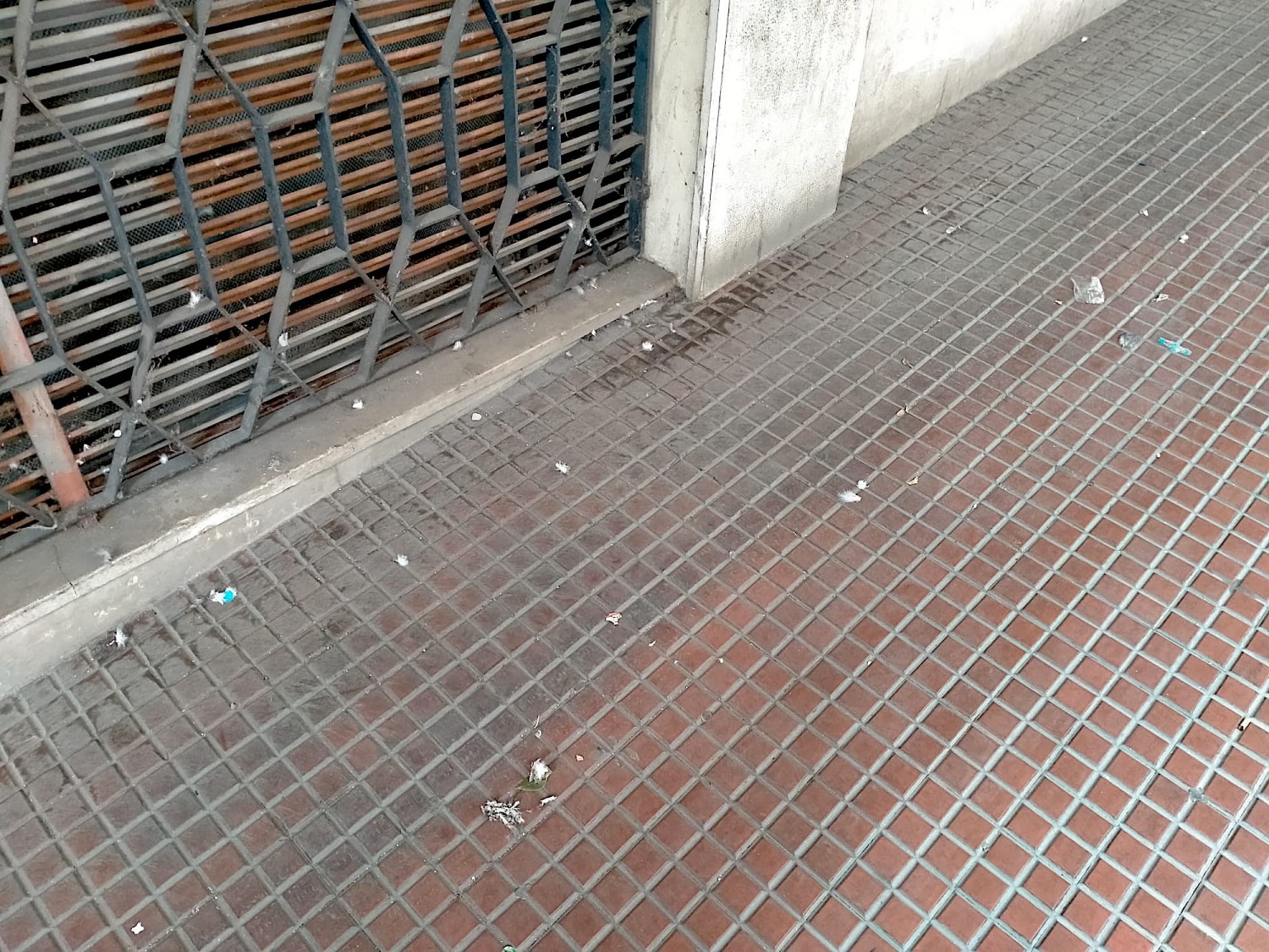 Via Portici Lunghi