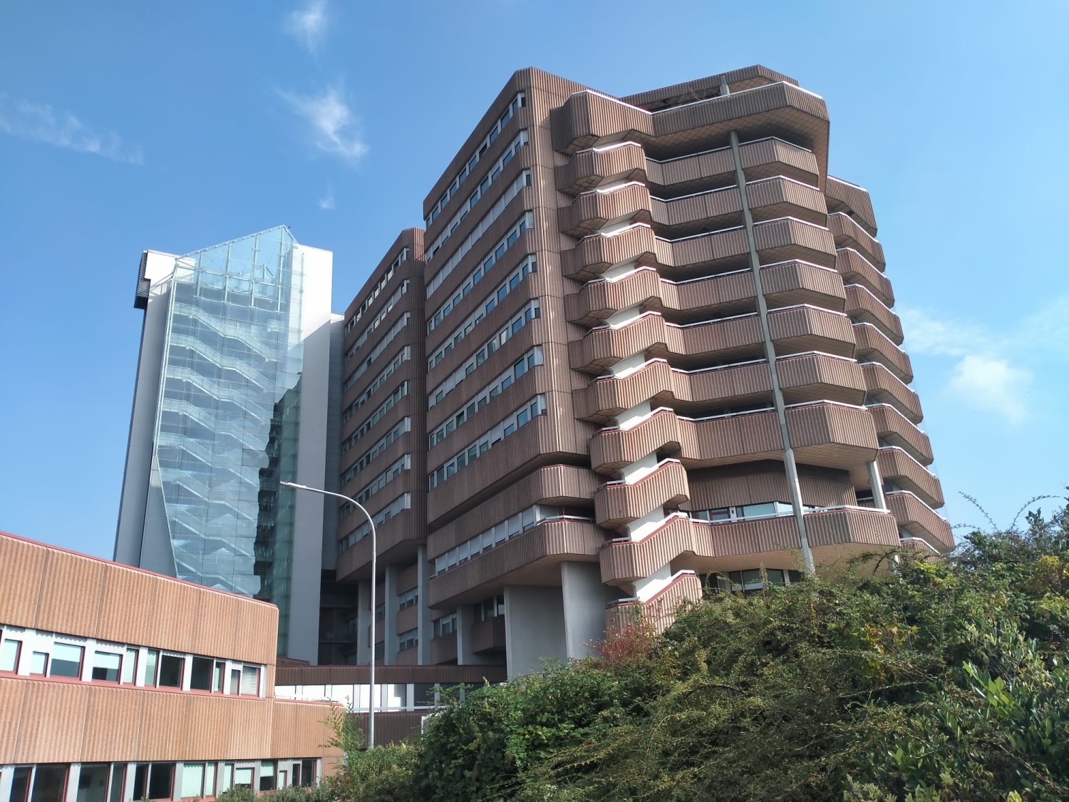Ulssnovela