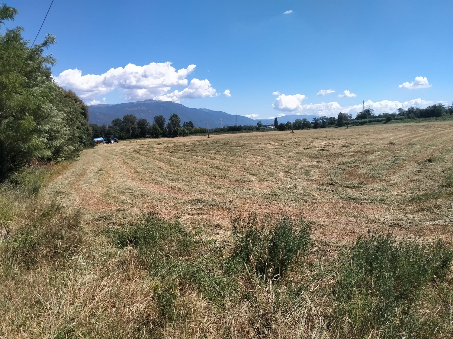 Suolo per i tuoi occhi