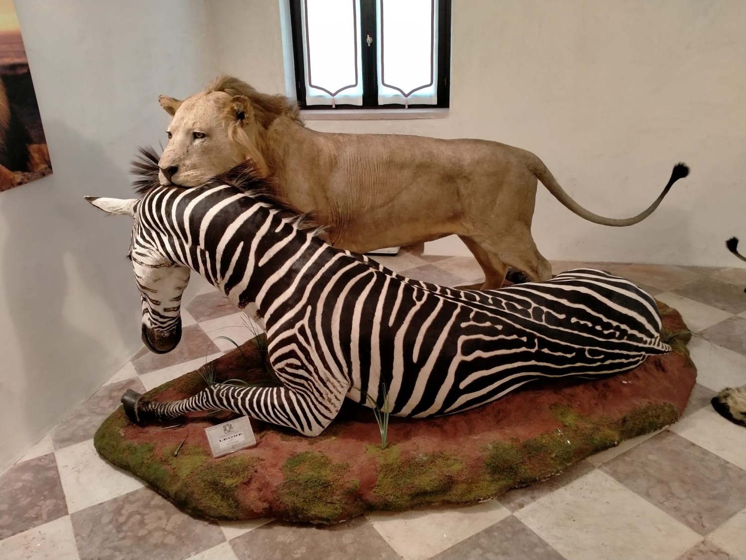 Dono di natura