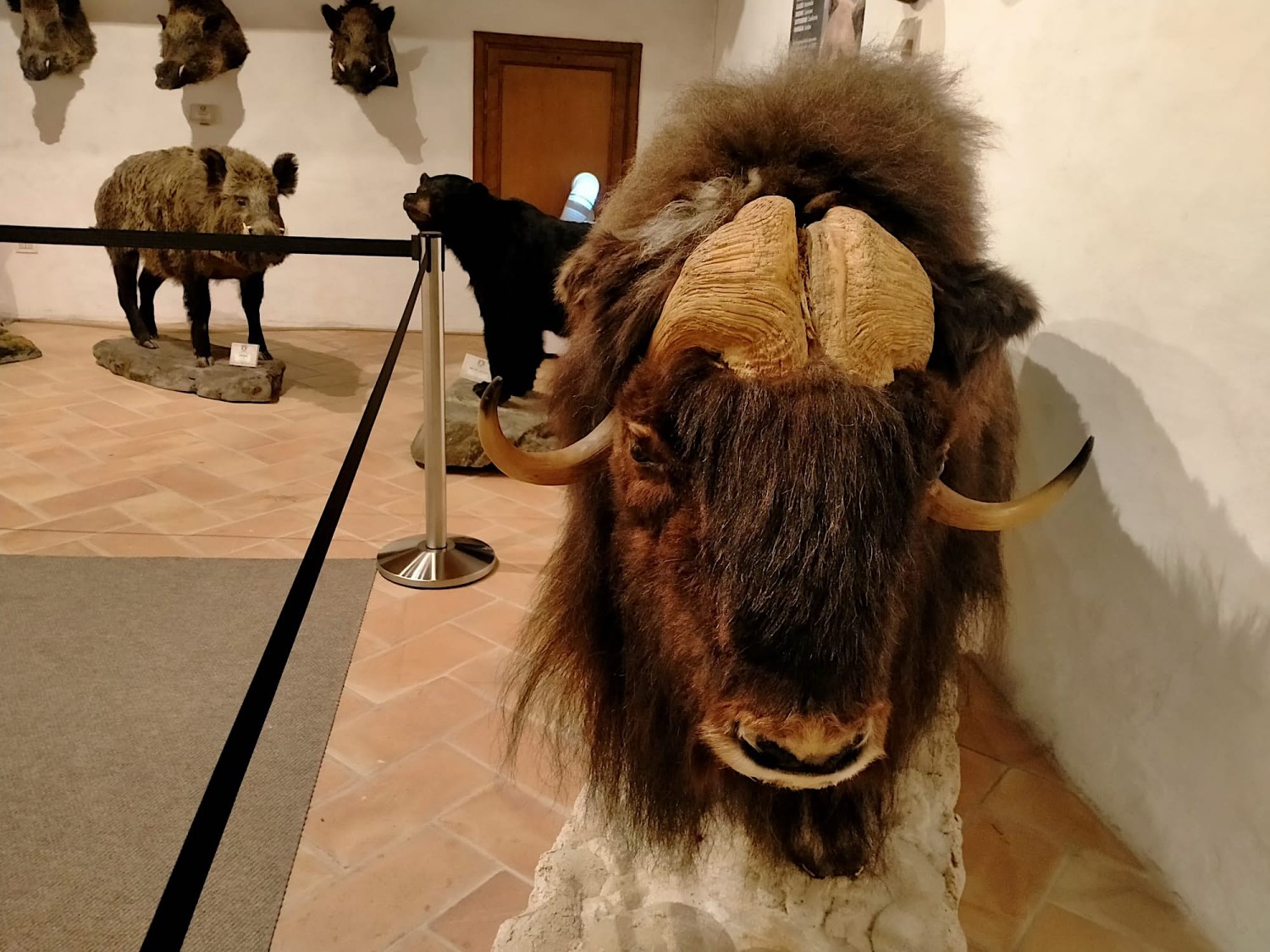 Bassanonet.it -
