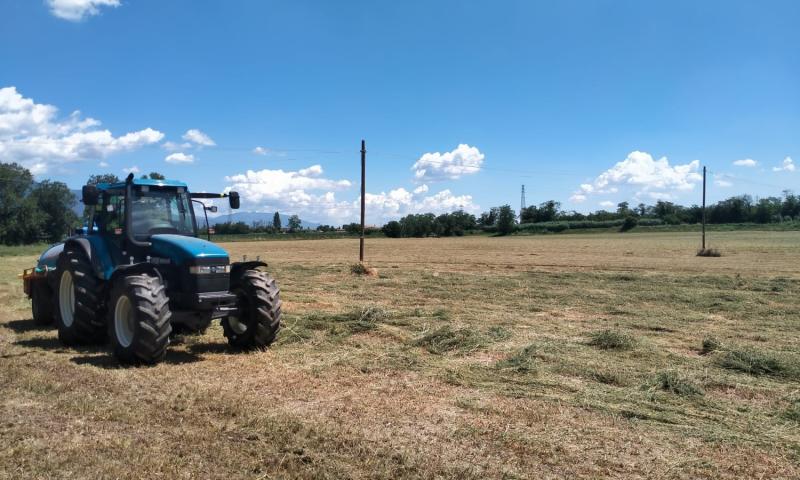 L’industriale e il contadino