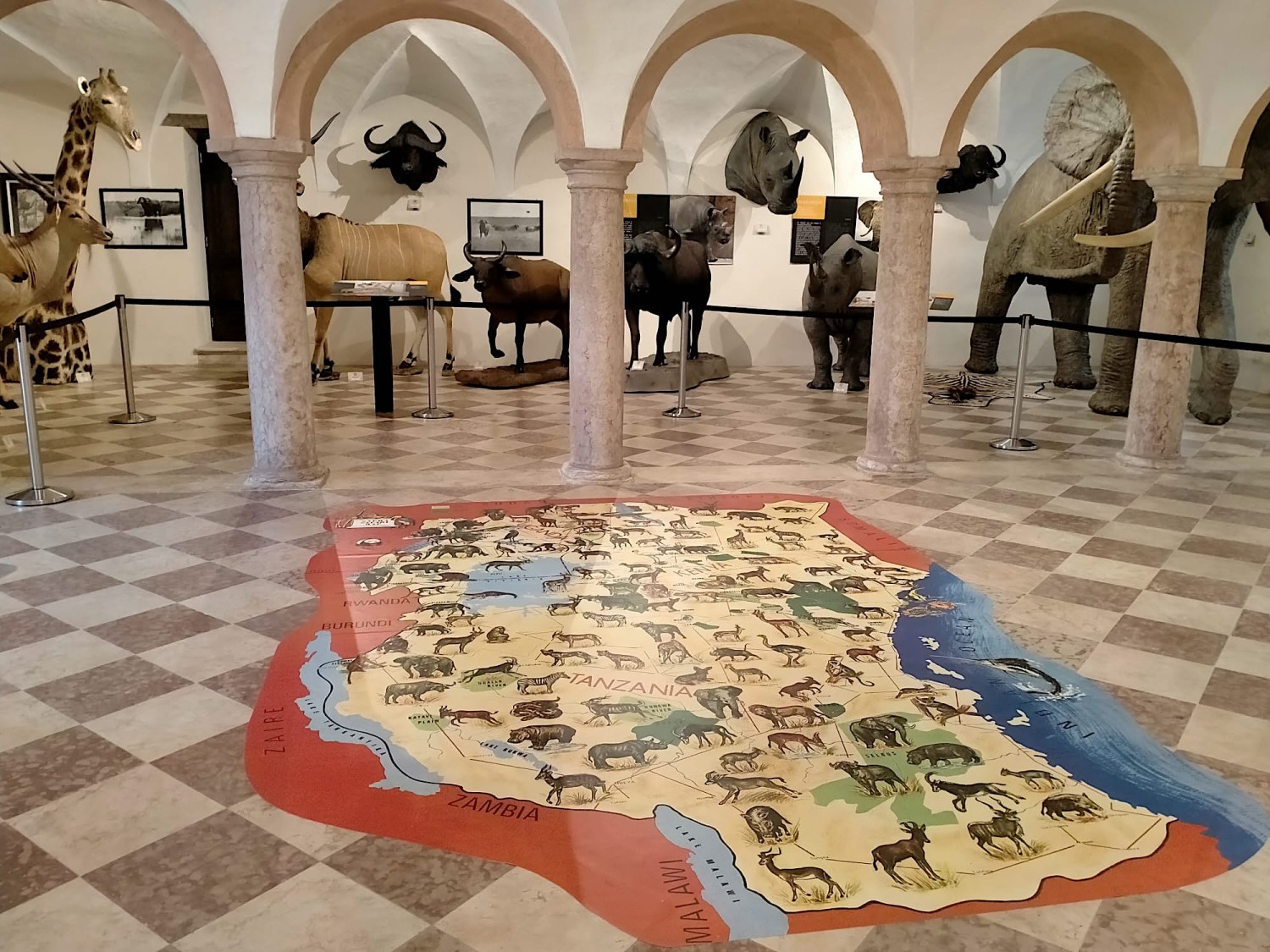 Bassanonet.it -