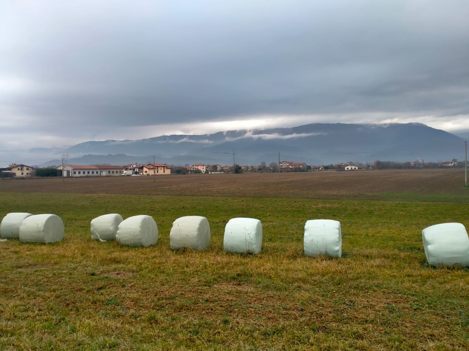 Campagna Infelix