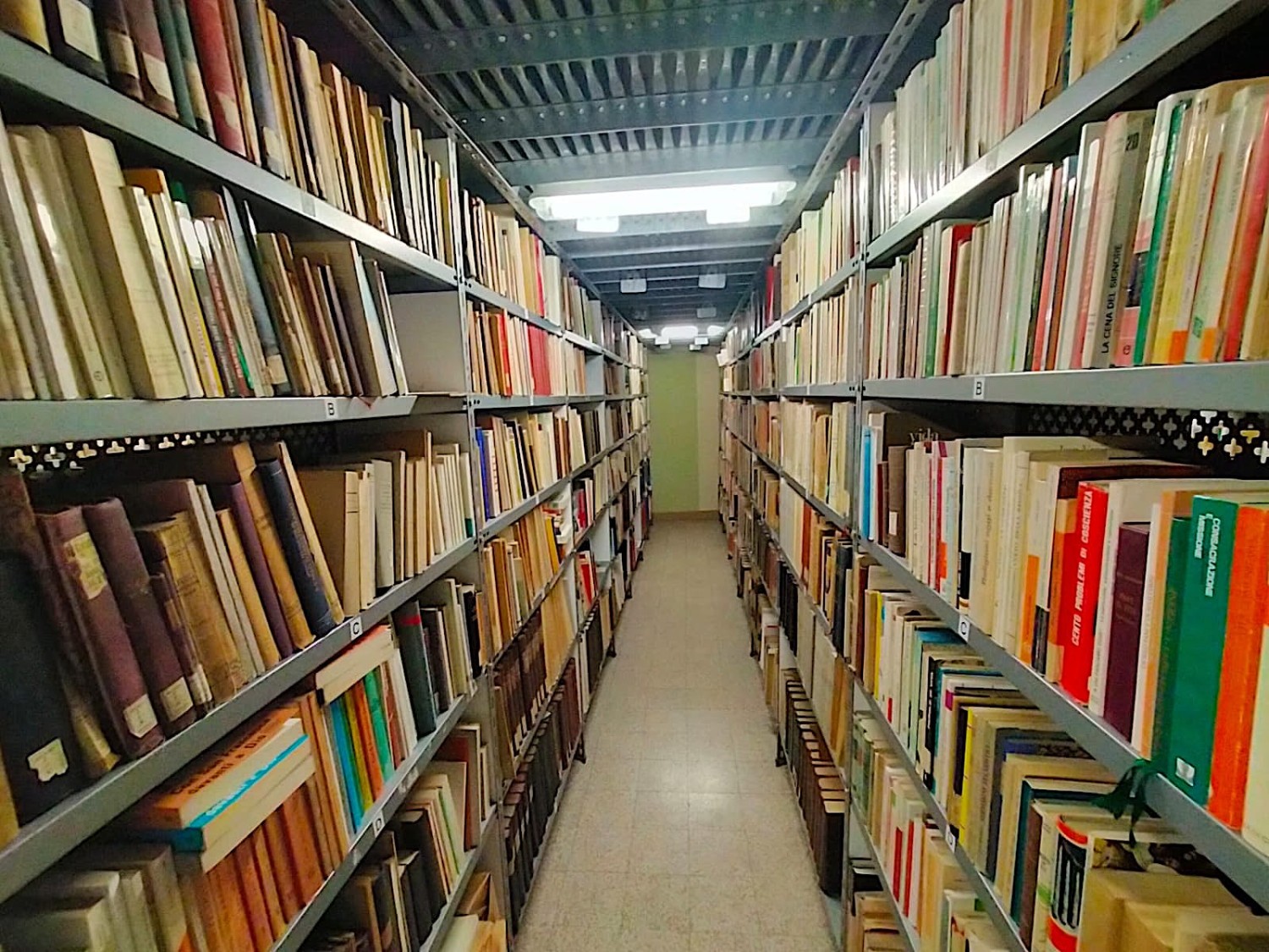La biblioteca