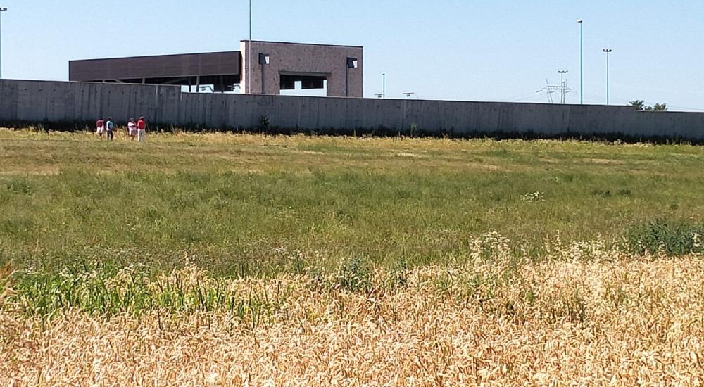 Fratella Azienda, Sorella A.RI.A