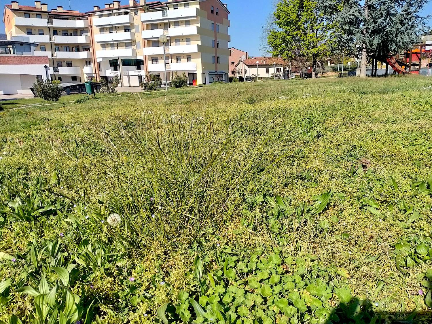 Parco Tarcisio Frigo - Quartiere Firenze