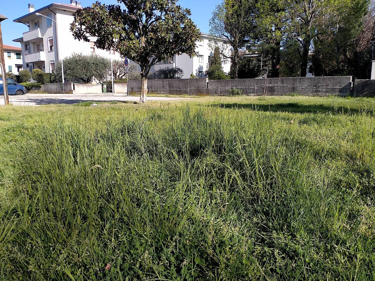 Area verde pubblico - Quartiere San Fortunato