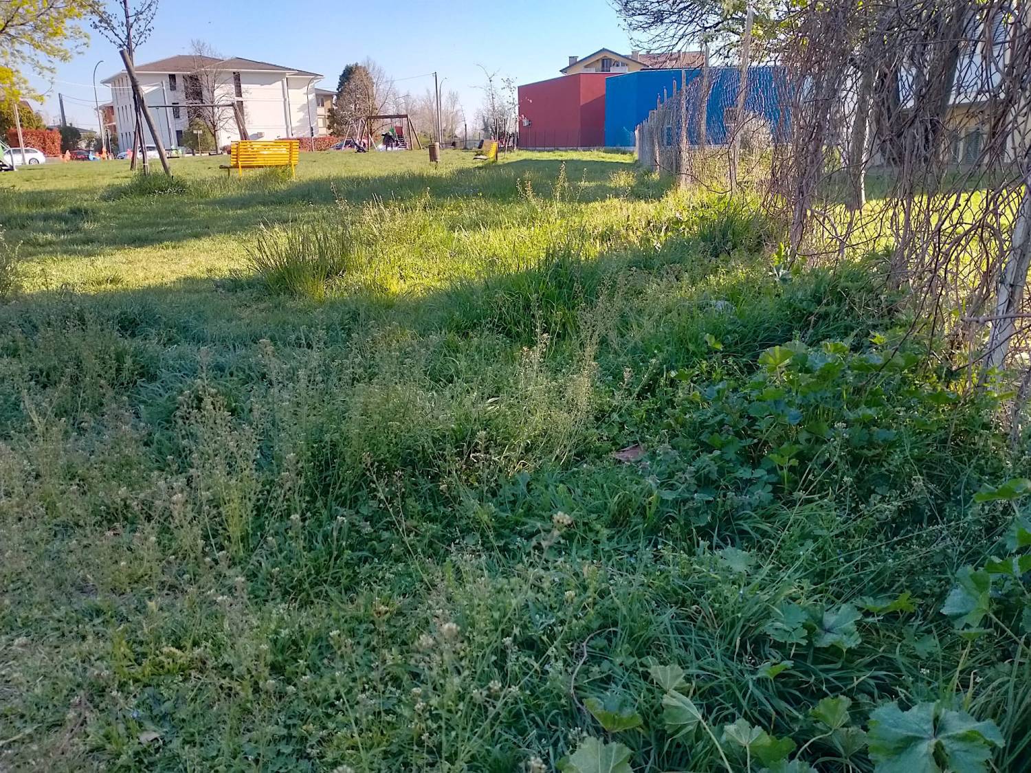Parco pubblico - Quartiere Rondò Brenta