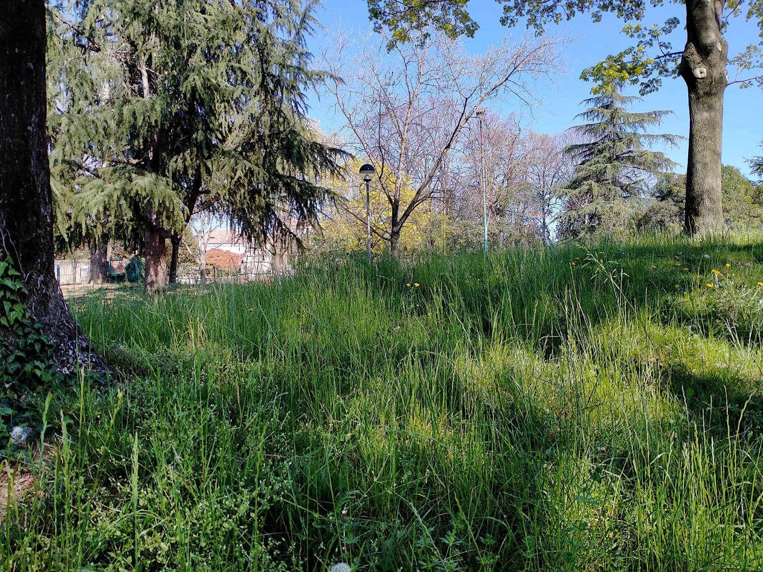 Parco Antonio Rocca - Quartiere Firenze