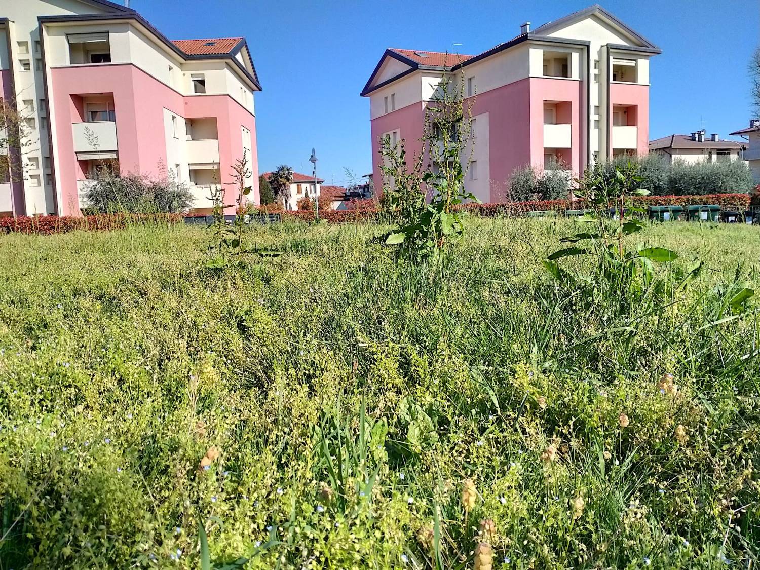 Parco Borgo Zucco - Quartiere Borgo Zucco