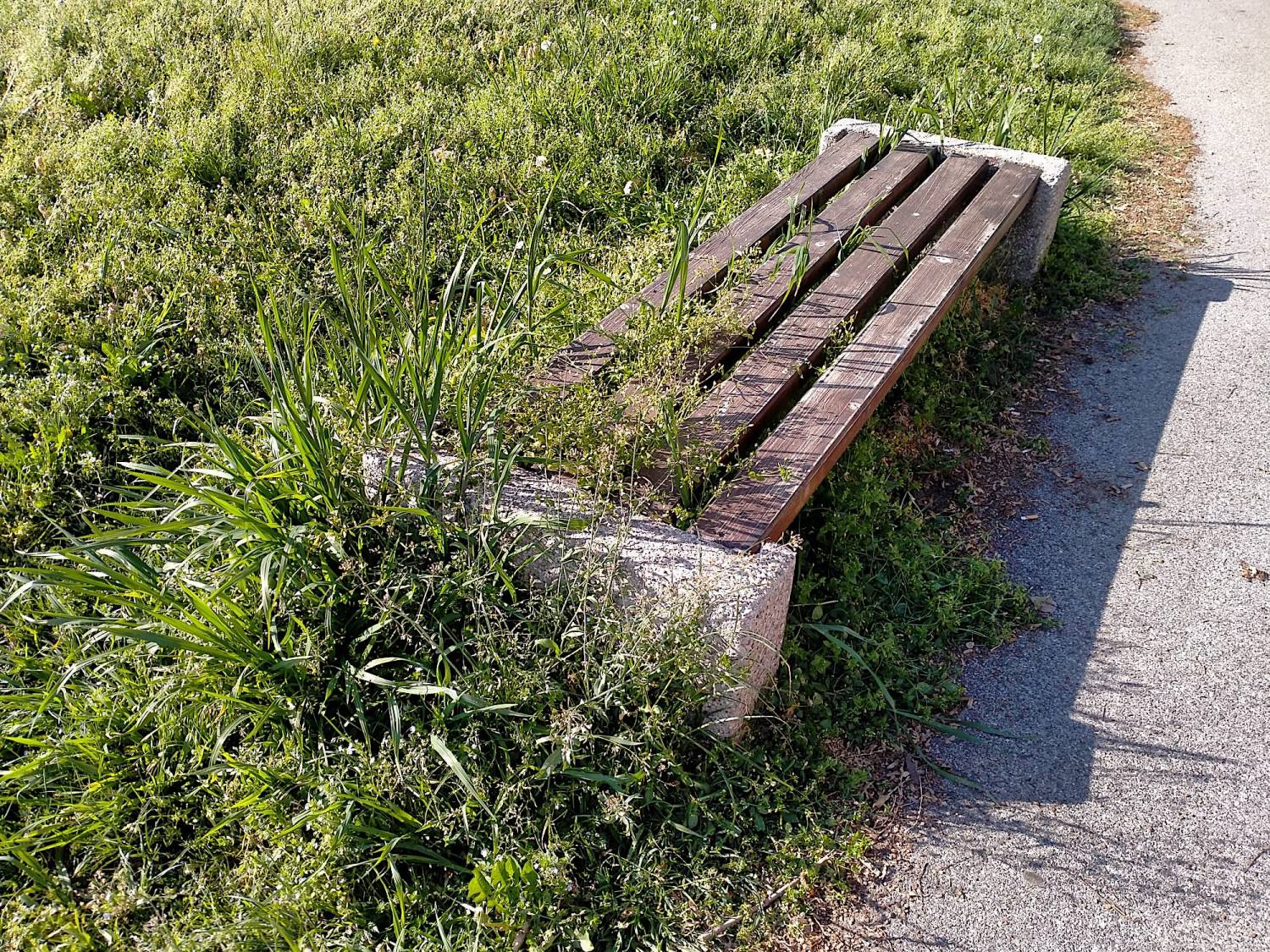 Là dove c’era l’erba