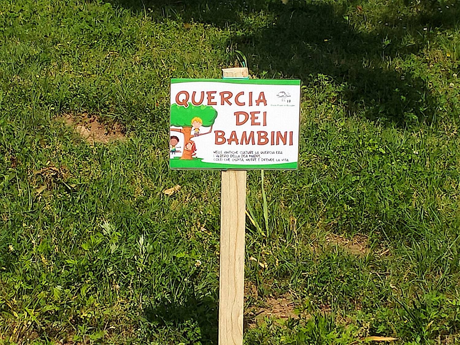 Quando una quercia fa scuola