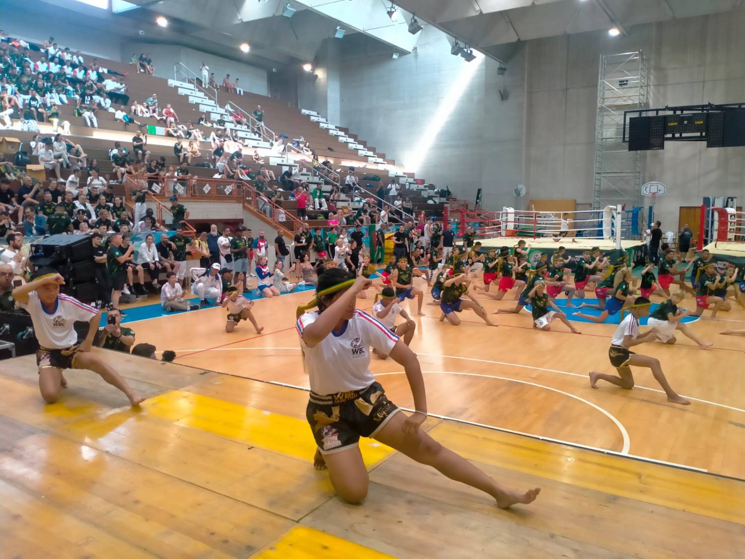 Muay dire Thai