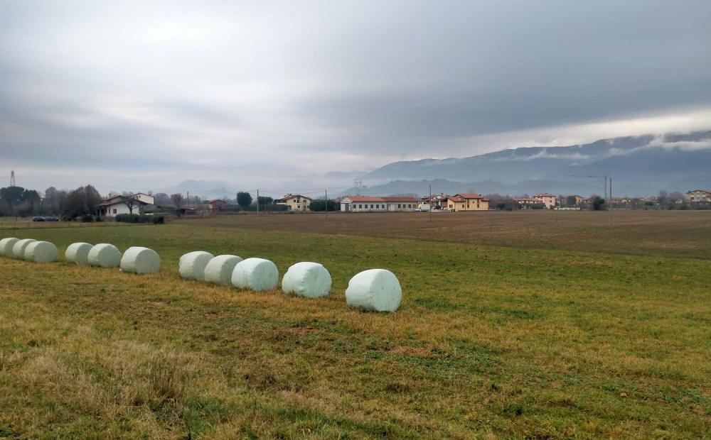 Campi di battaglia