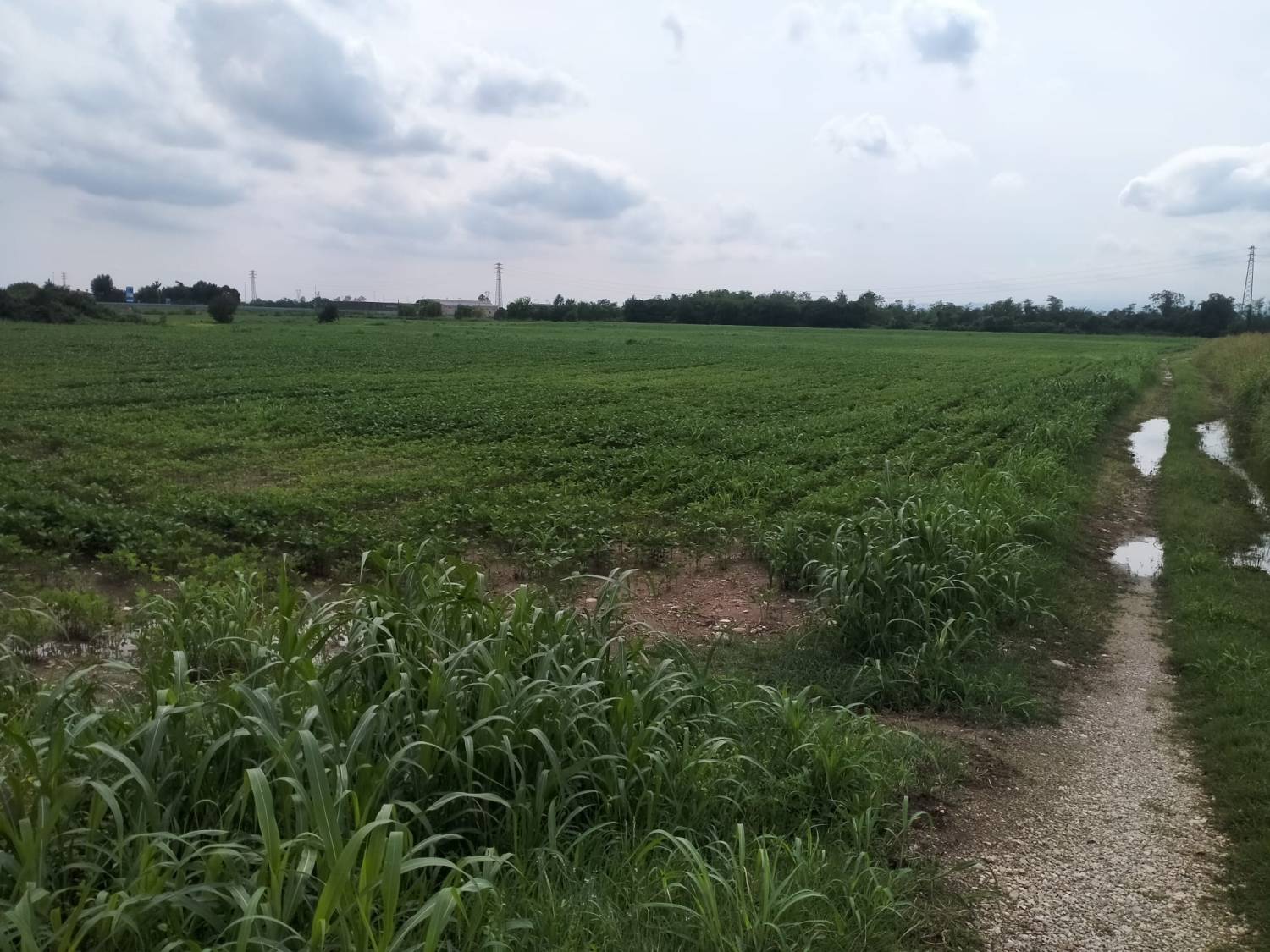 Campagna per Tutti