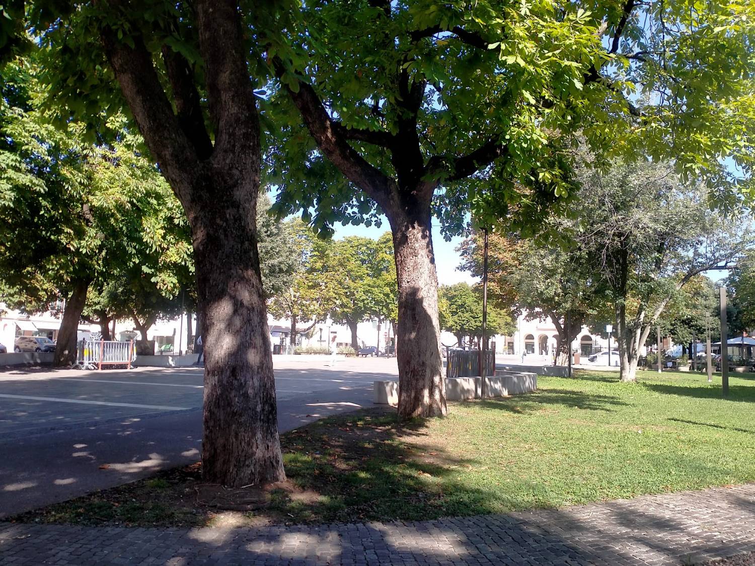 Storia di un pedone bassanese