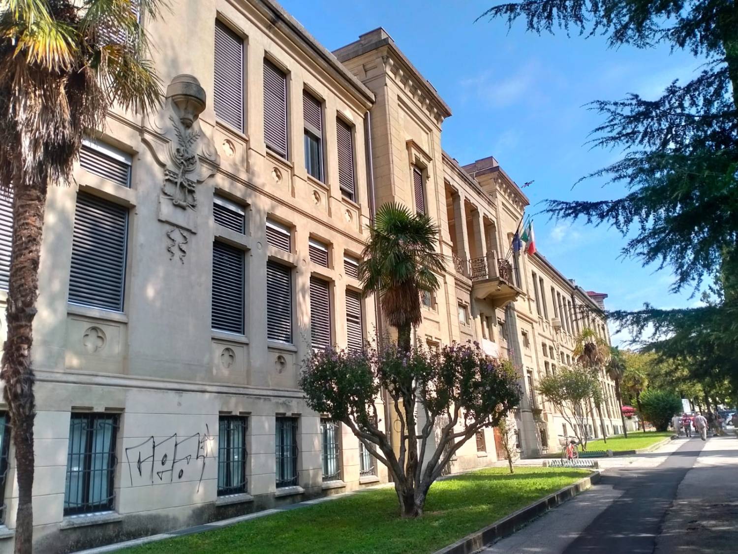 Consulenza Primaria