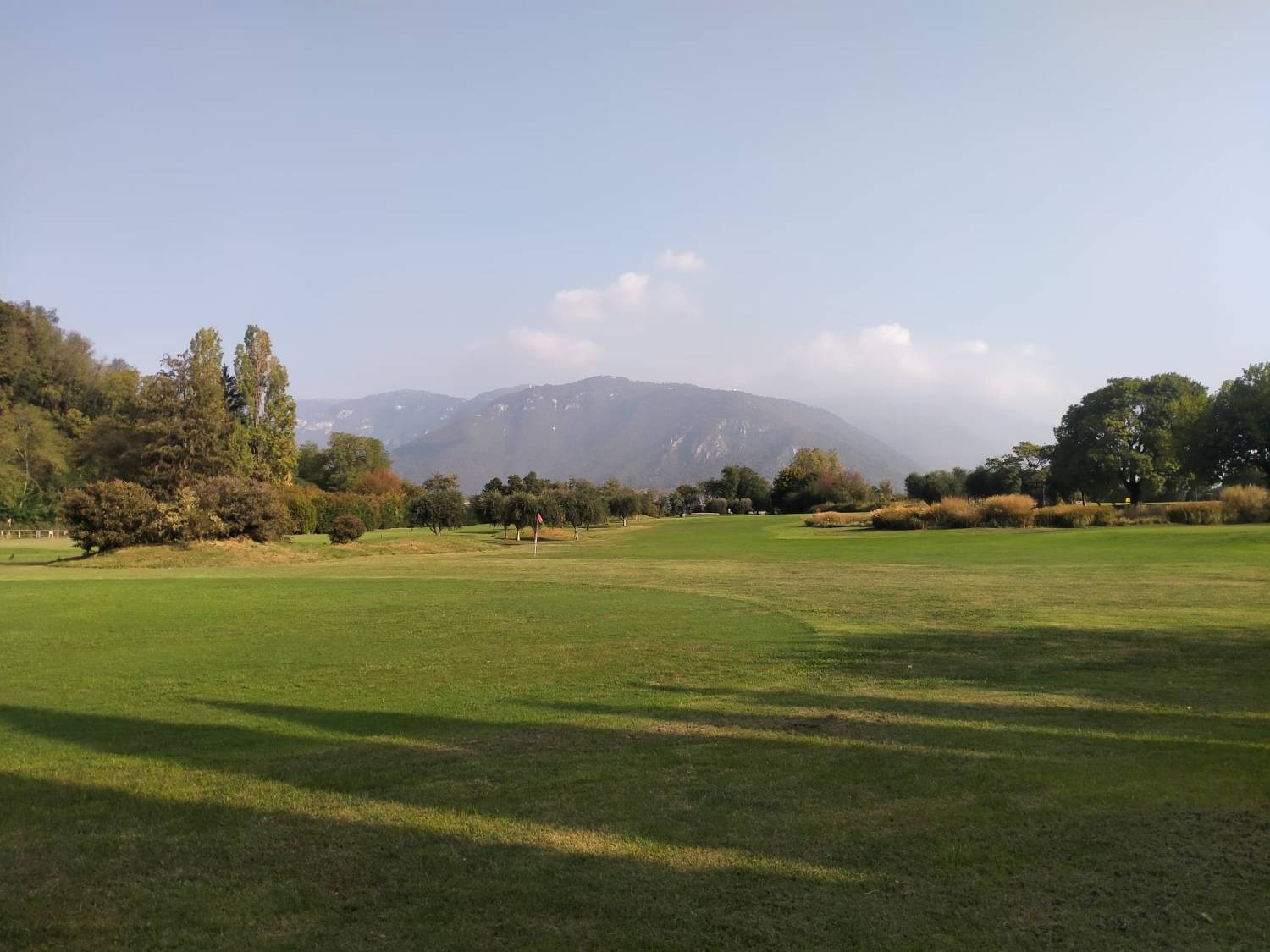 Brolo di giuggiole