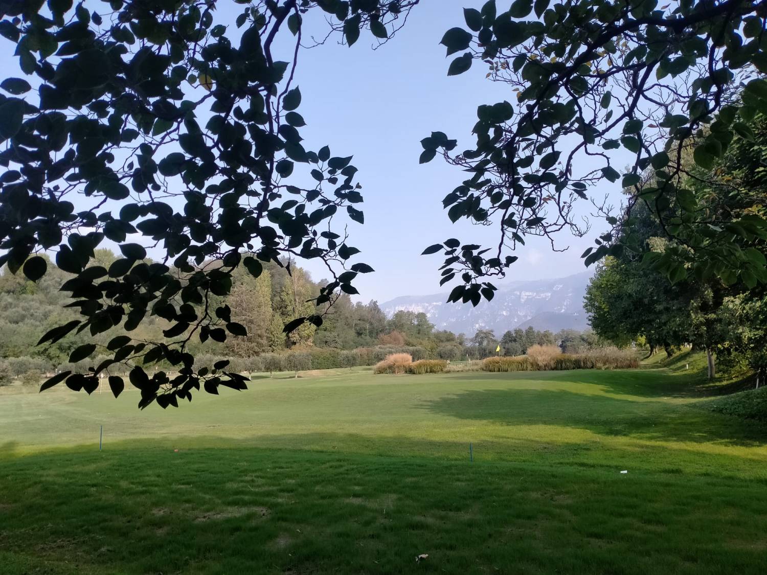 Brolo di giuggiole