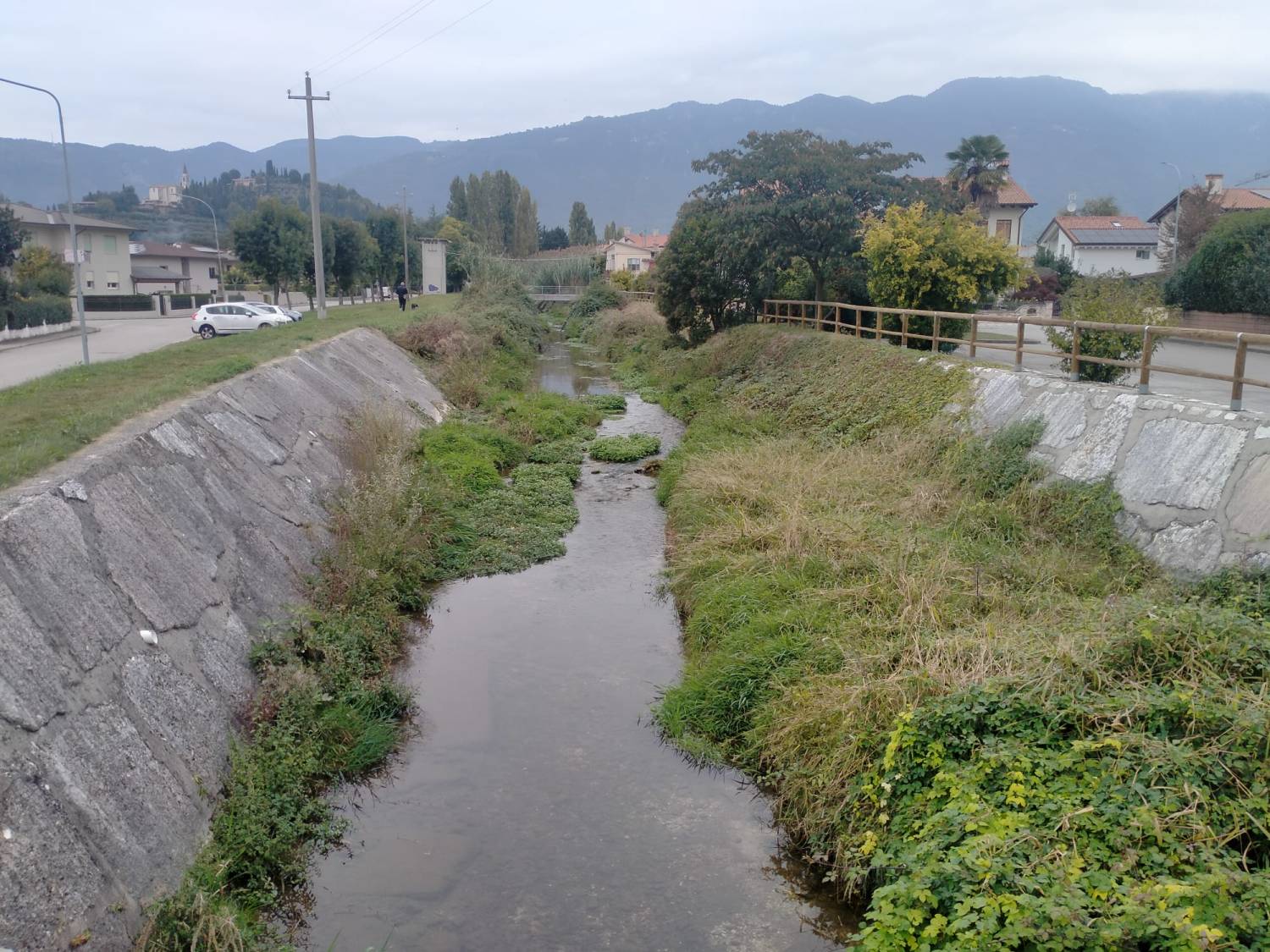 Giaronji