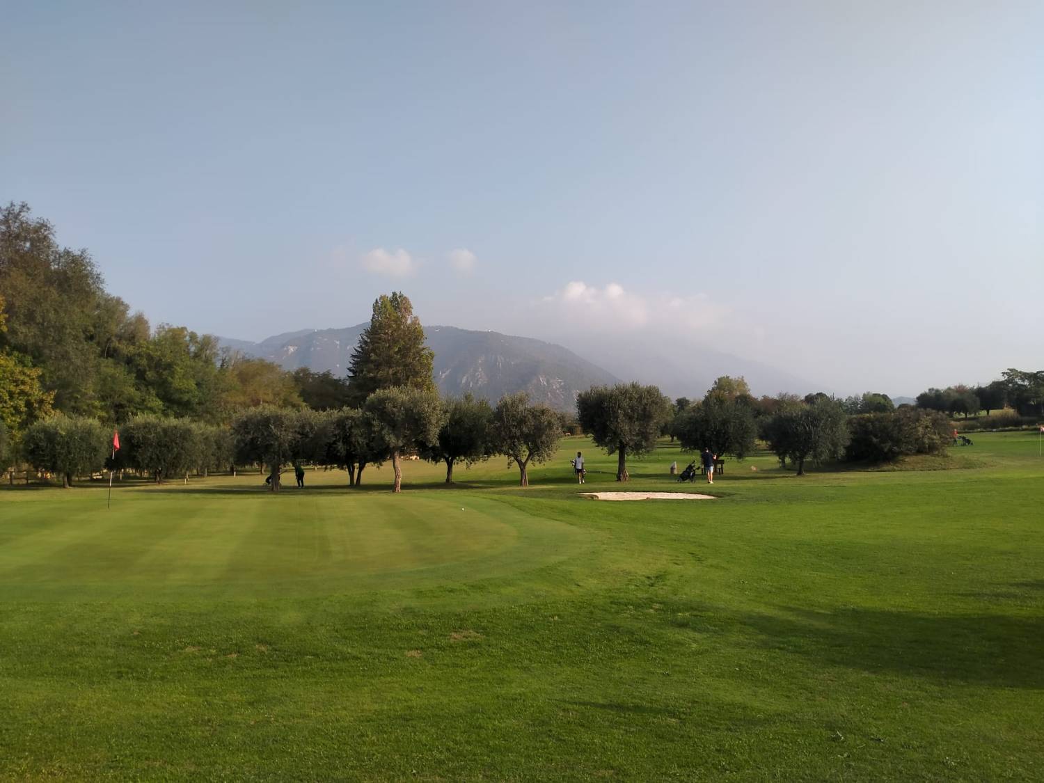 Brolo di giuggiole