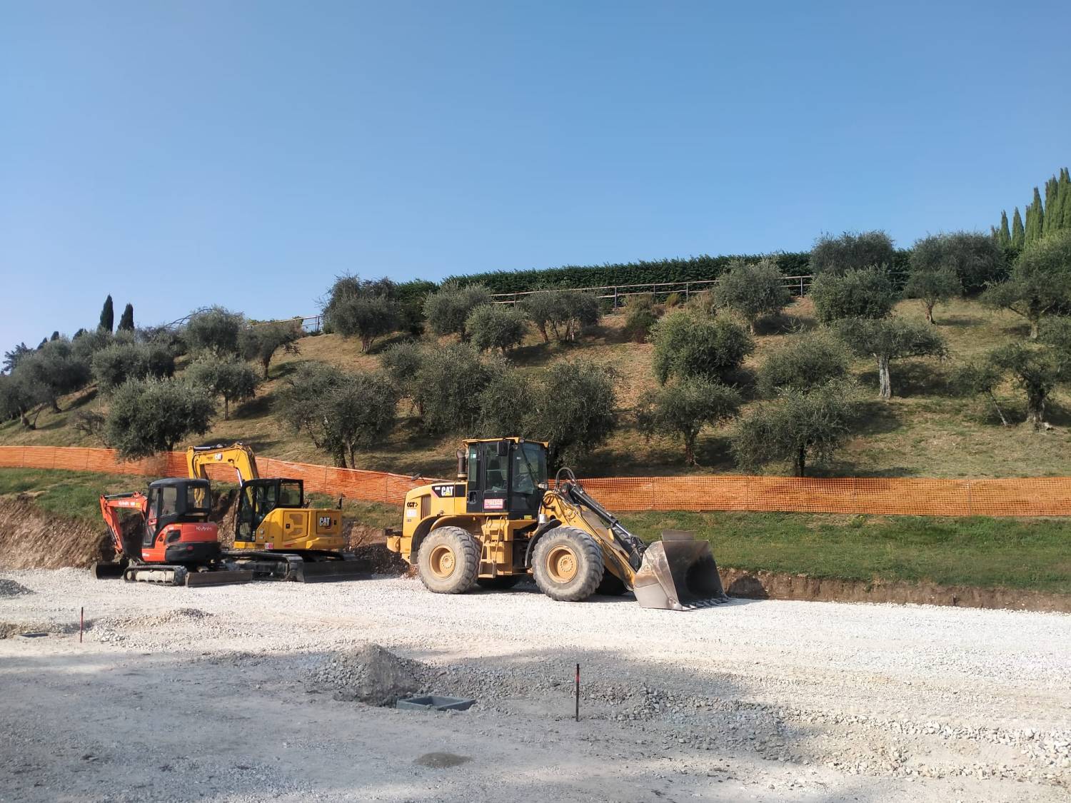 Brolo di giuggiole