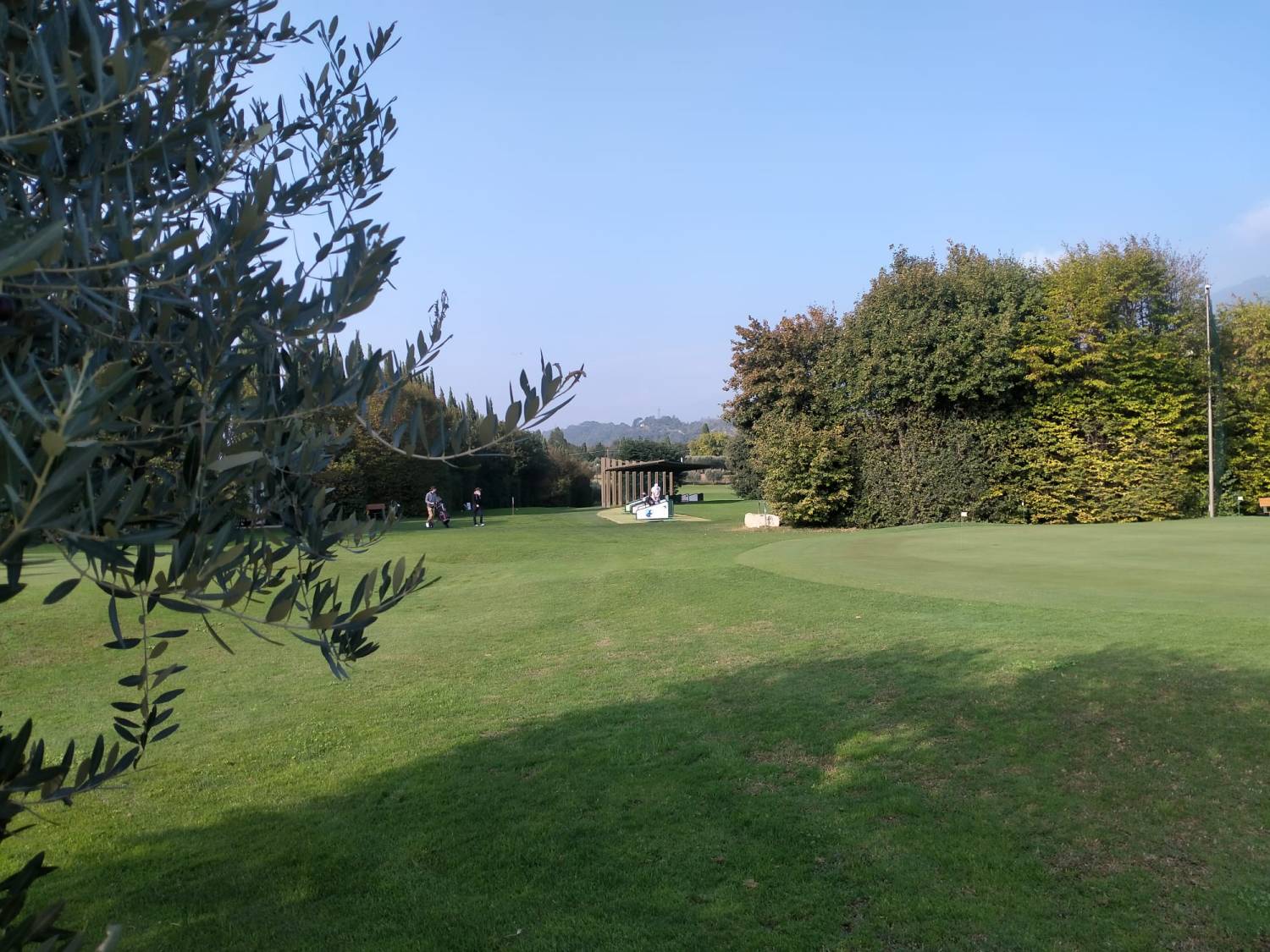 Brolo di giuggiole