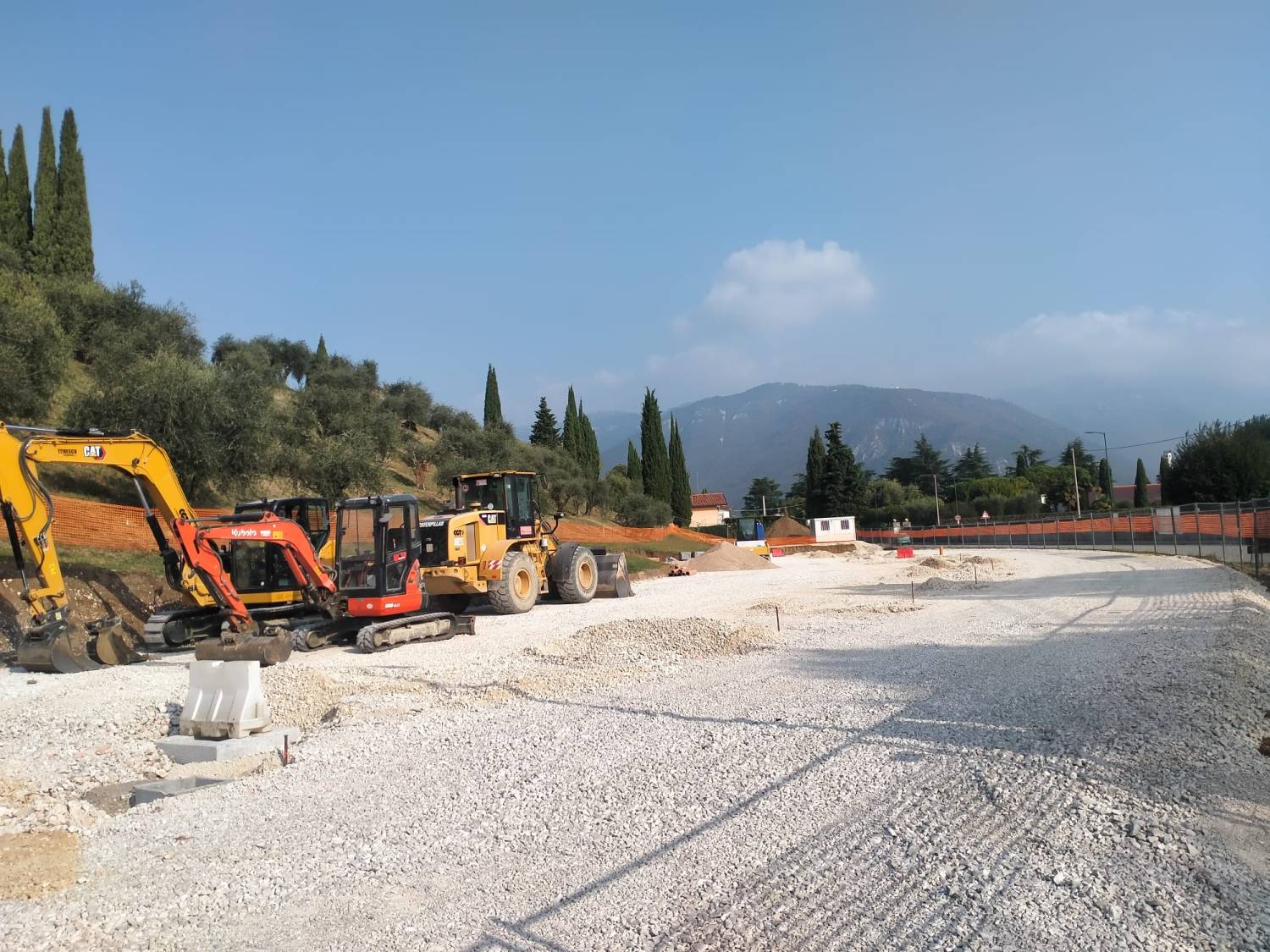 Brolo di giuggiole