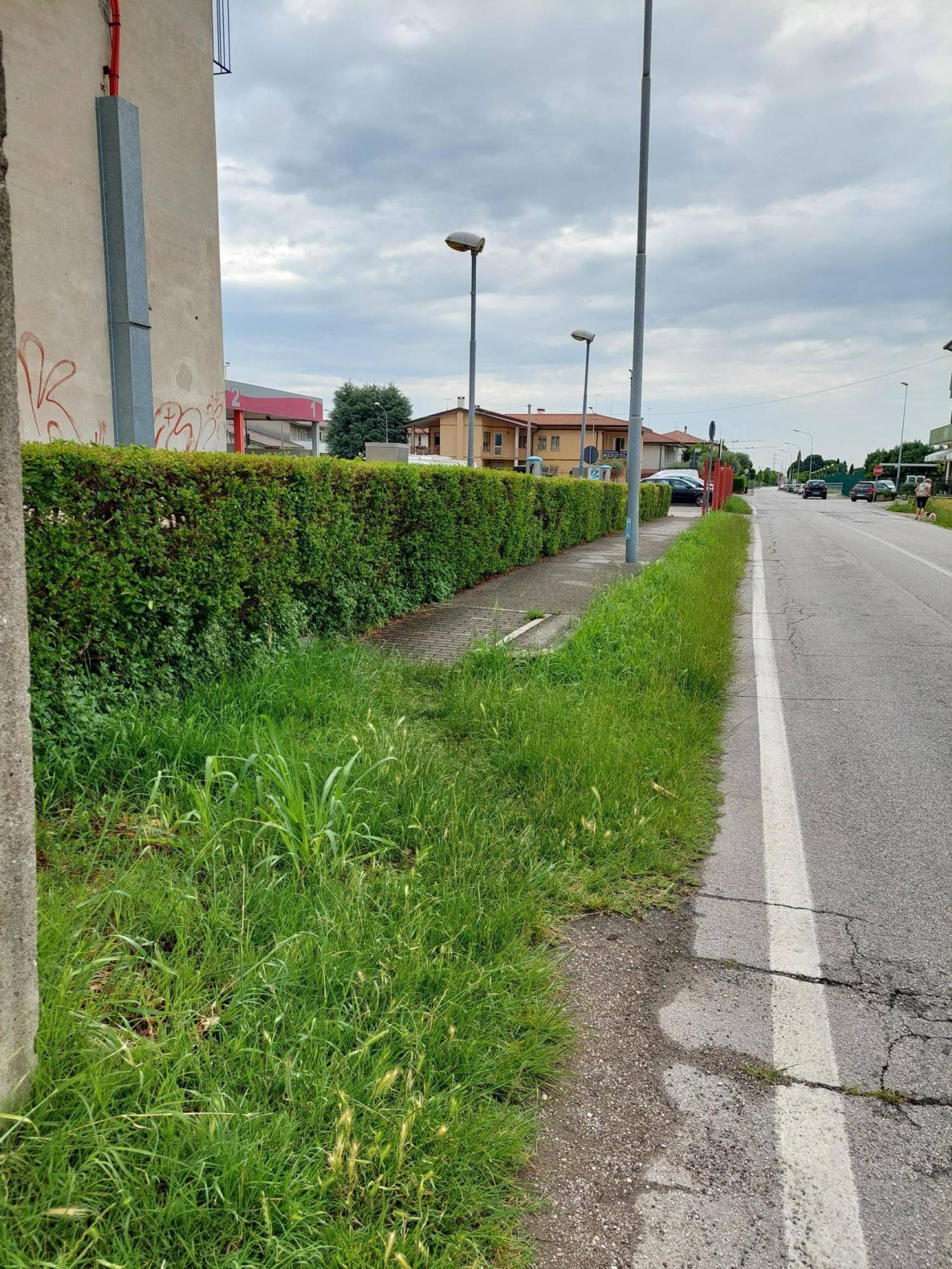 Figli di un Caffè minore