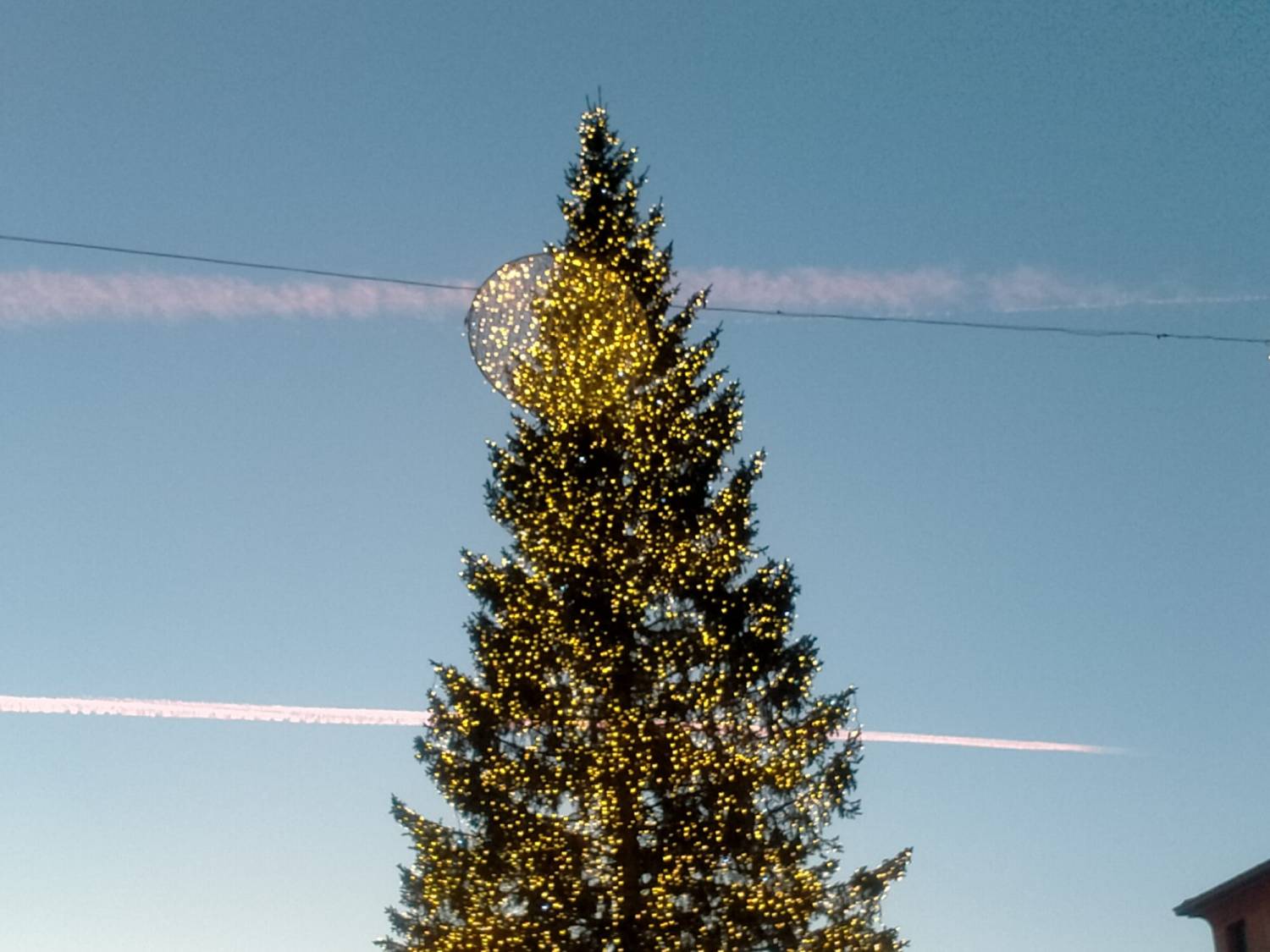 Tregua di Natale