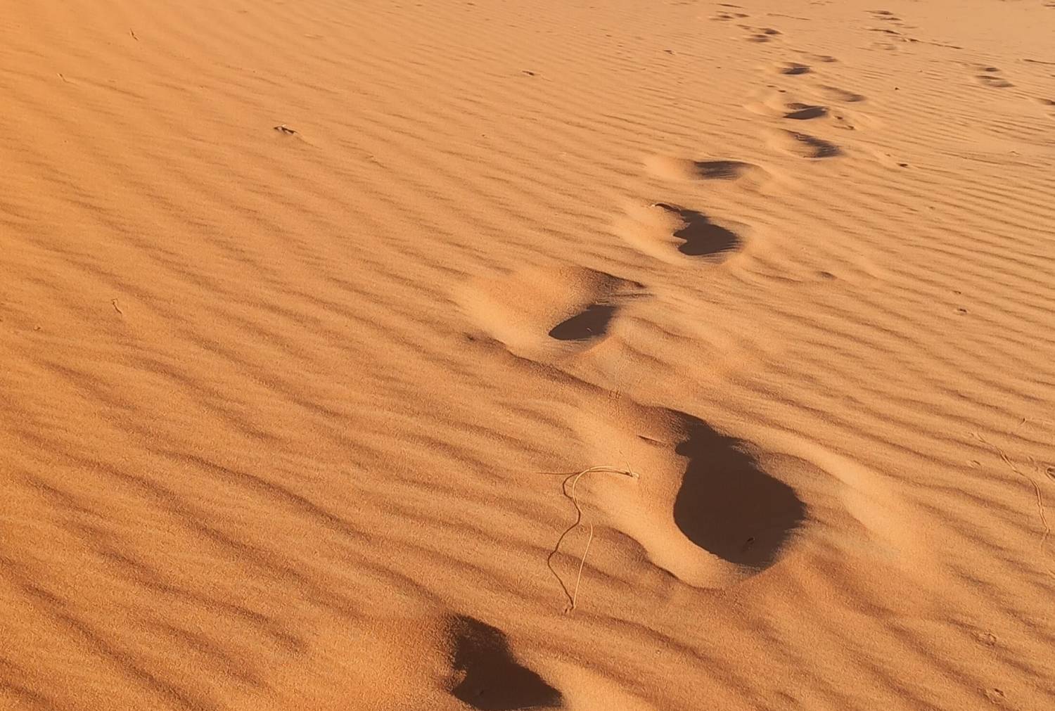 Avvento del Sahara