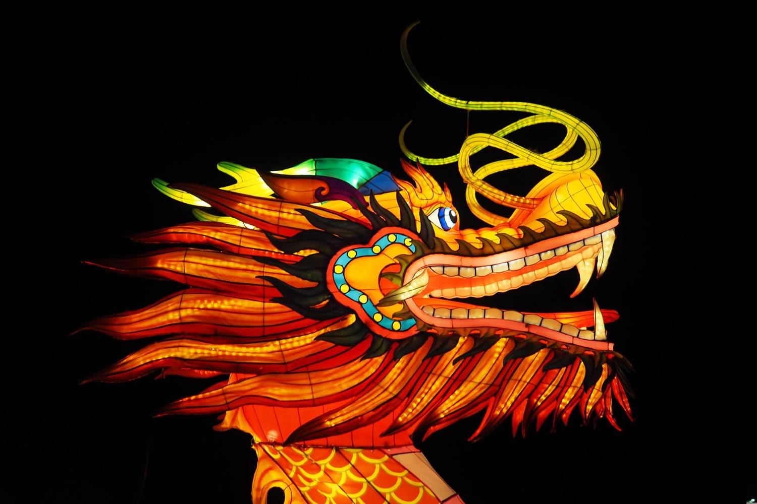 L'anno del Drago