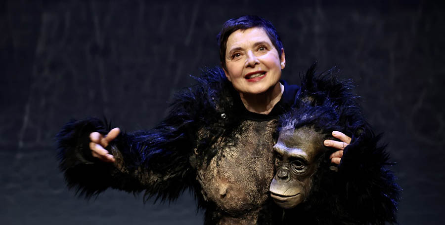 Al Remondini, arriva Darwin's Smile