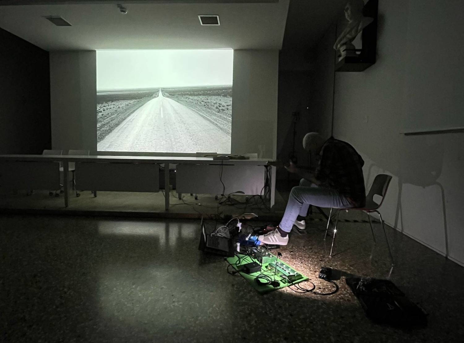 L'esibizione di Massaron nella sala Chilesotti del Museo Civico