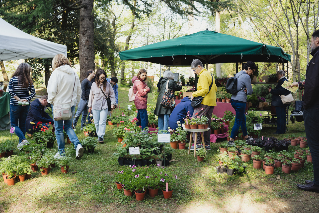Giardino Parolini, un patrimonio botanico di Rara Pianta