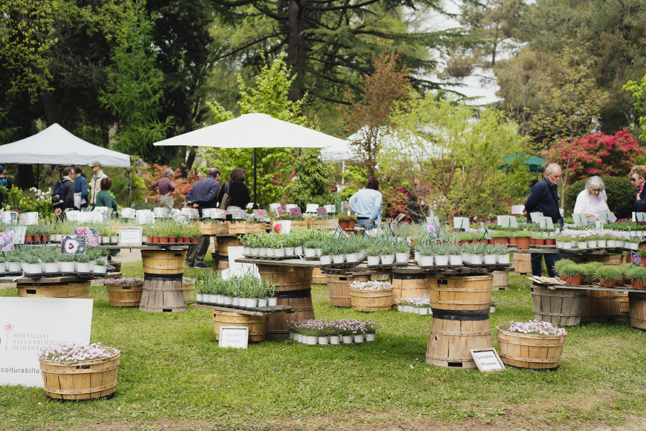 Giardino Parolini, un patrimonio botanico di Rara Pianta