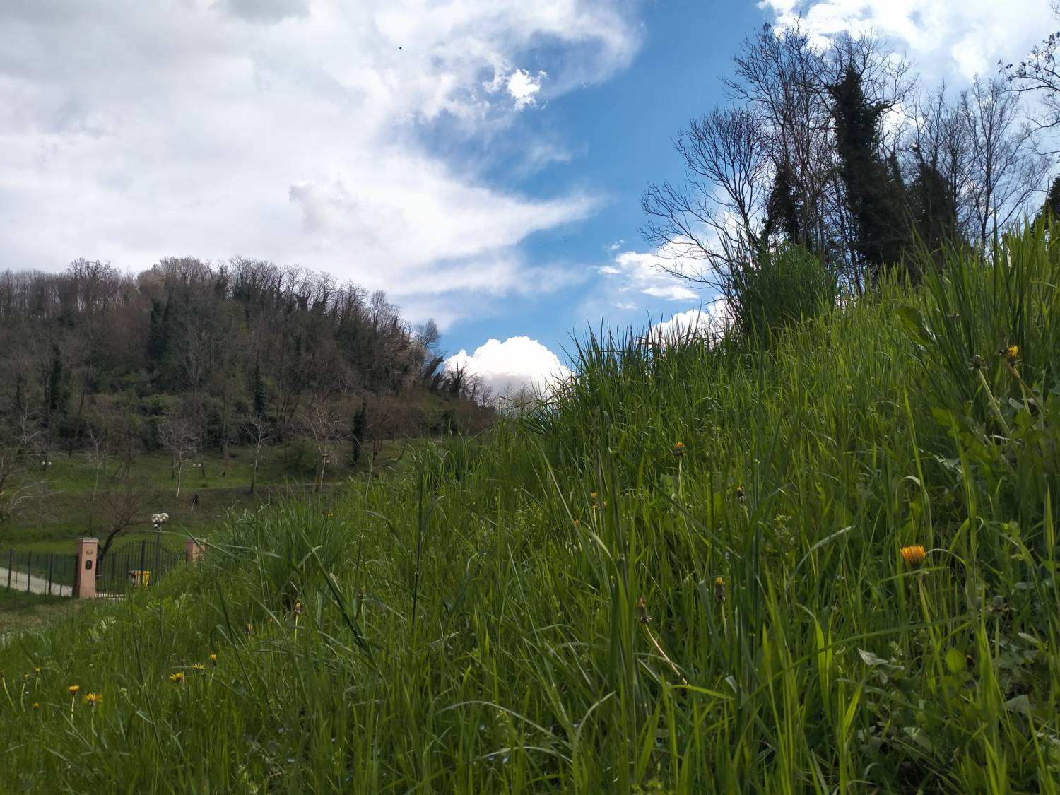 Parola di Pfinco