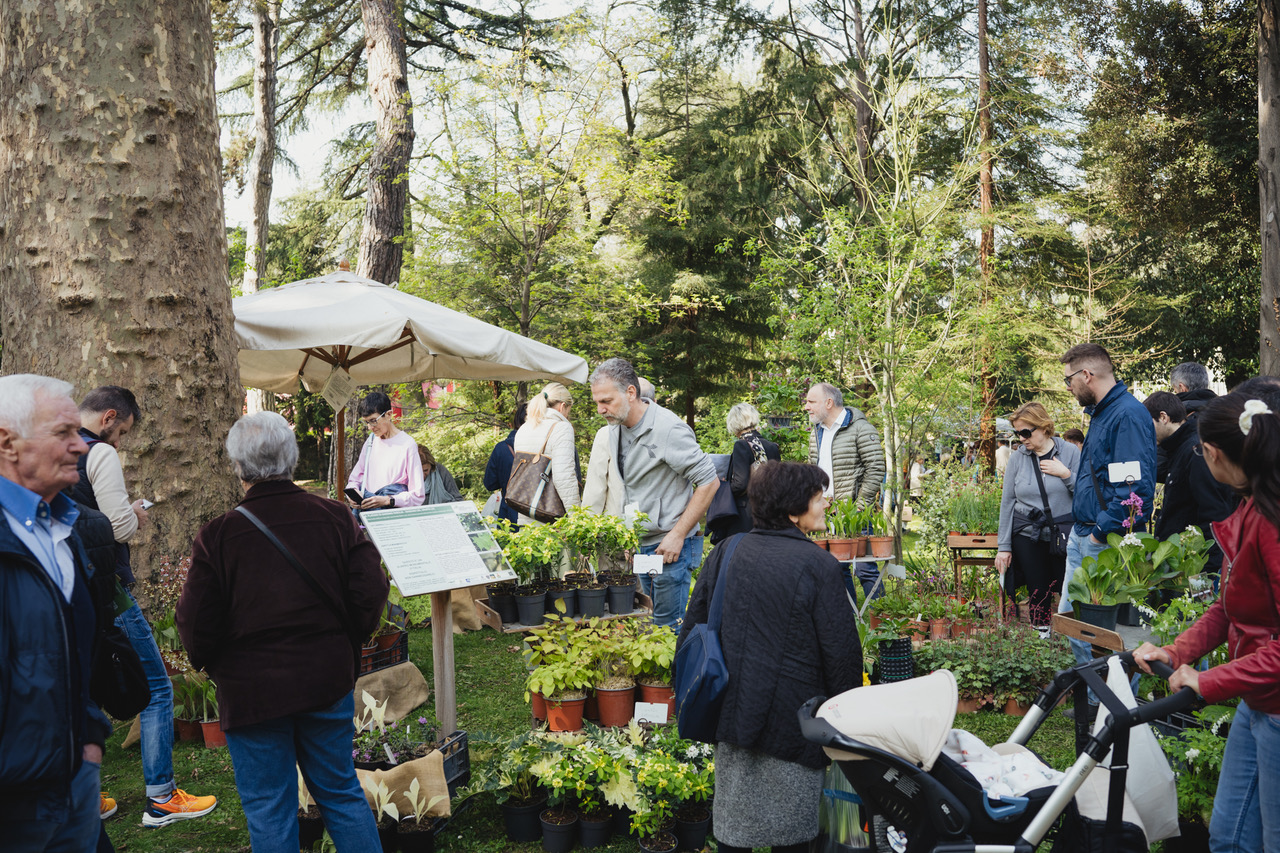Giardino Parolini, un patrimonio botanico di Rara Pianta