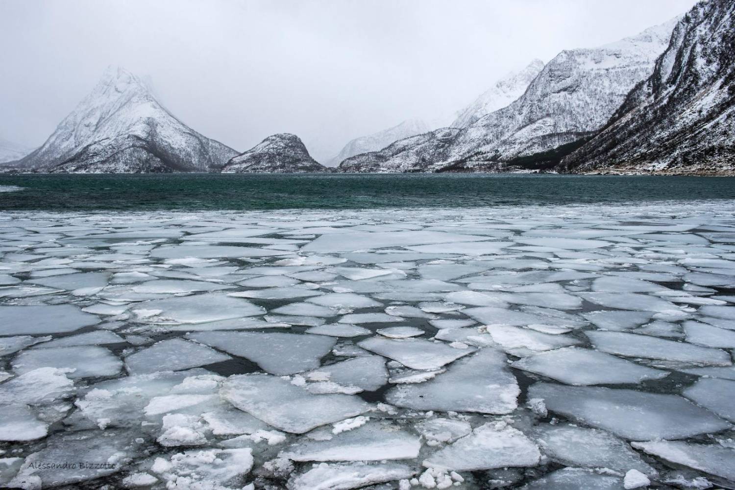2040: verso la glaciazione demografica