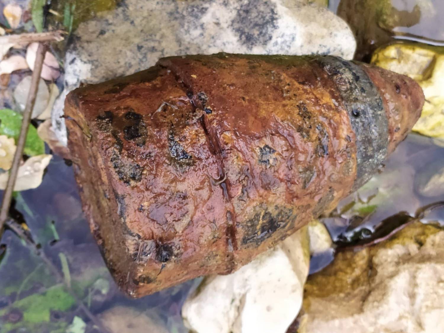 Notizia bomba