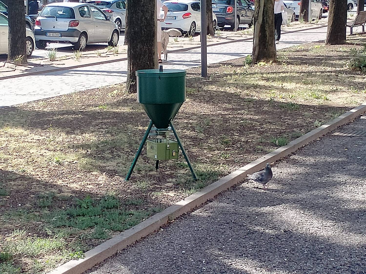 Mai dire mais
