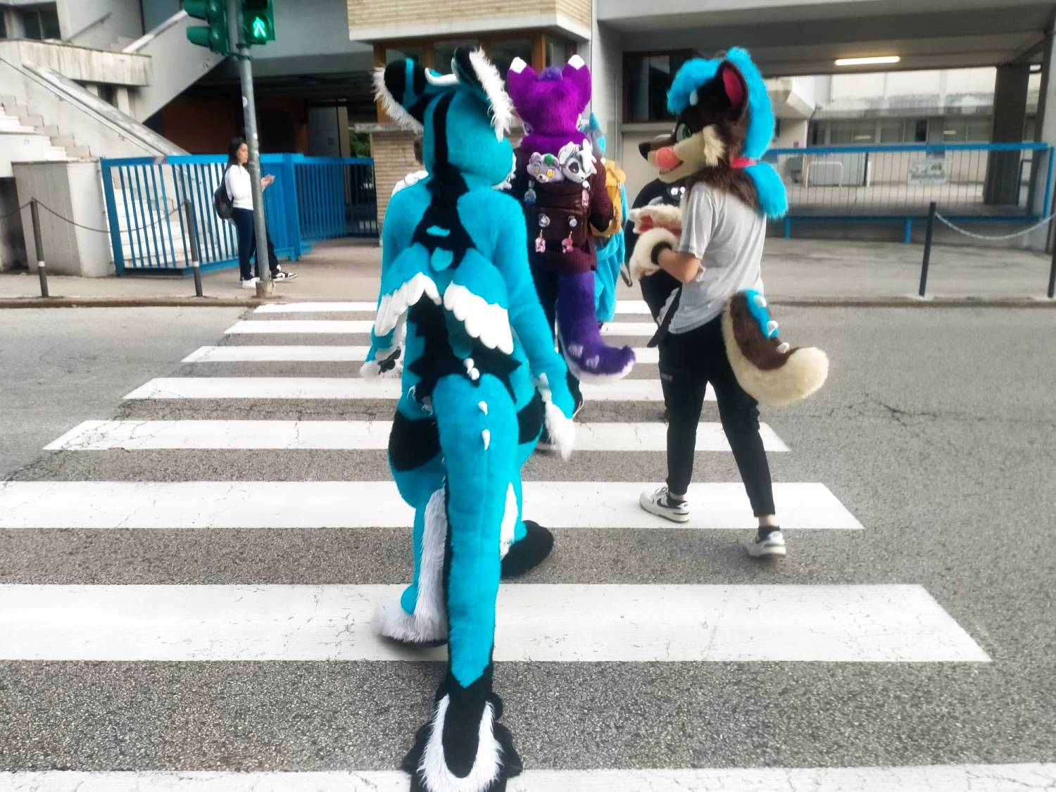 Mai dire Cosplay